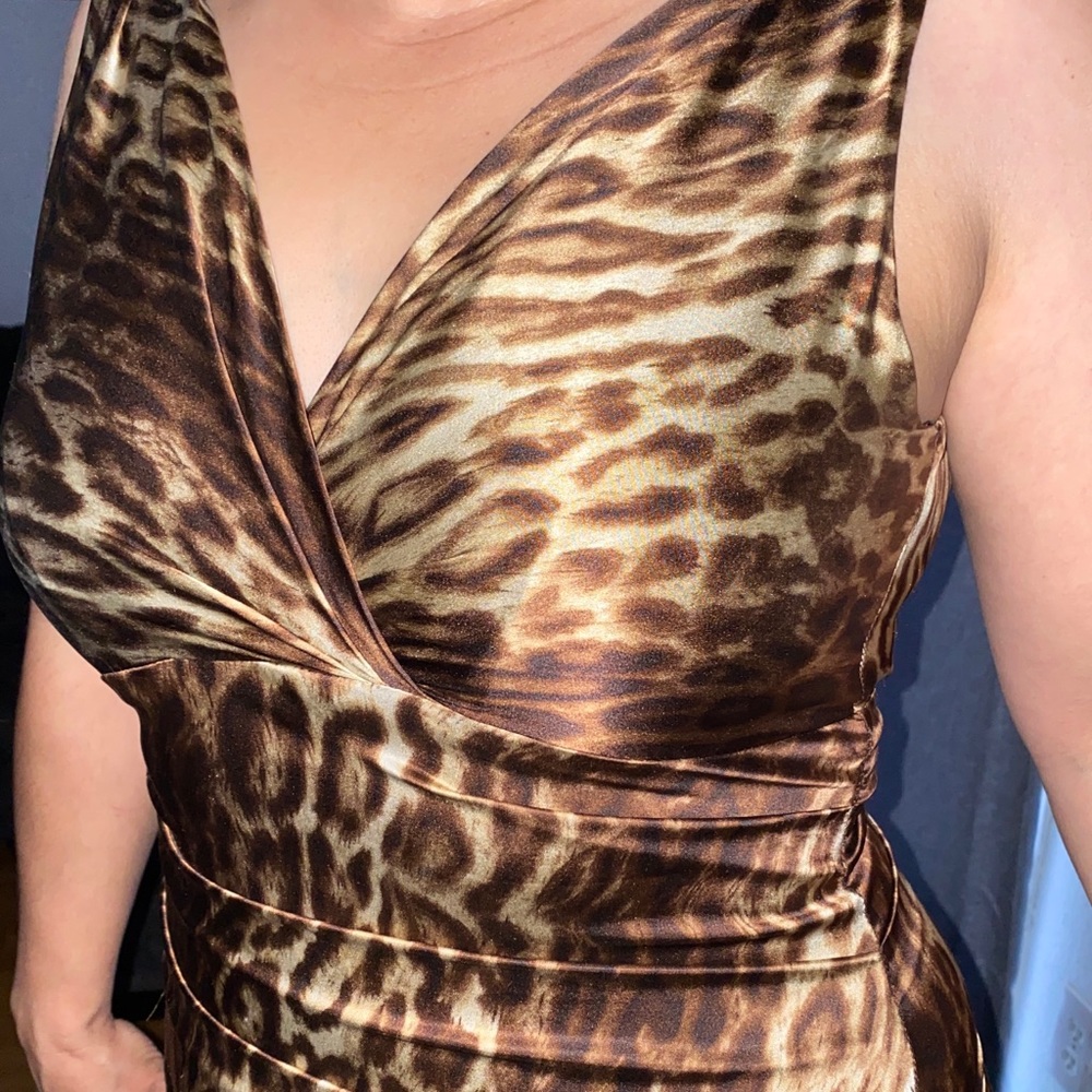 Animal print Cache dress